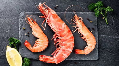Shrimp