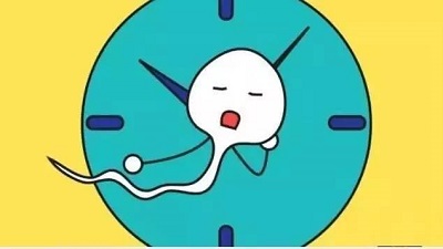 sperm