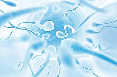 sperm