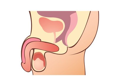 OrchitiscauseInflamedTesticles