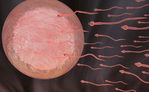 asthenospermia