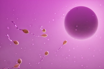 SmallLumpontheTesticle