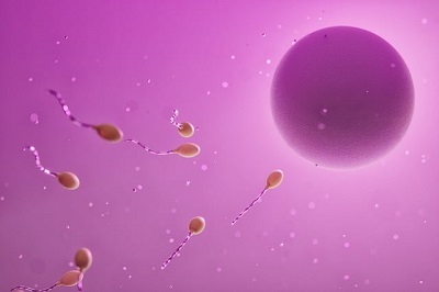 PinkSemenandSeminalVesiculitis
