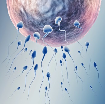 asthenozoospermia