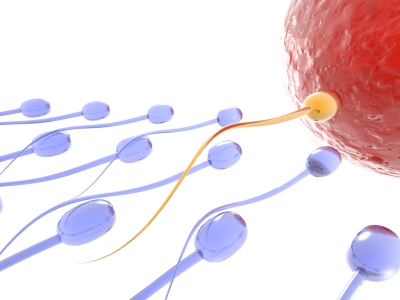 improve sperm quality
