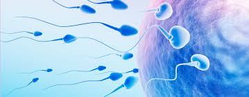 infertility