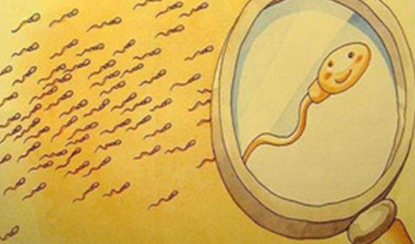 Prostatitis and sperm