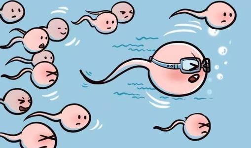sperm health